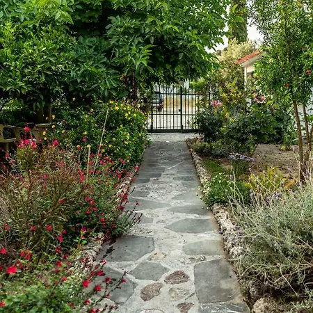 Hotel Ikaros Archangelos (Rhodes)