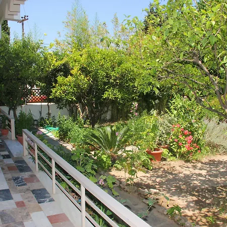 Guest house Hotel Ikaros 3*