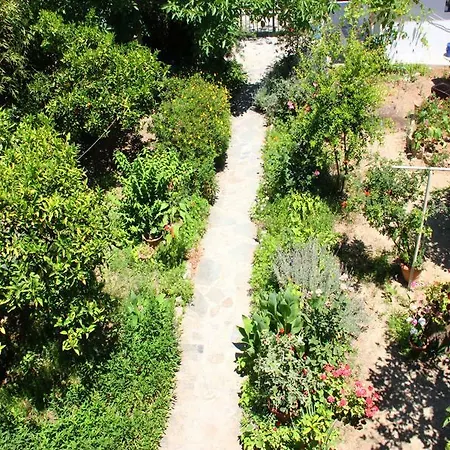 Guest house Hotel Ikaros