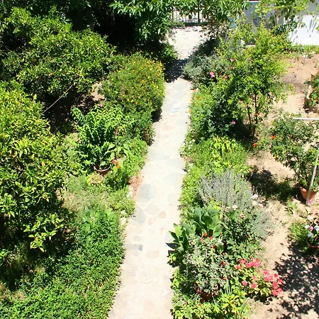 Hotel Ikaros Guest house 3*